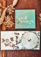 Spell Songs II: Let the Light In CD