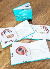 Spell Songs II: Let the Light In COLLECTORS' EDITION WITH ORIGINAL ARTWORK