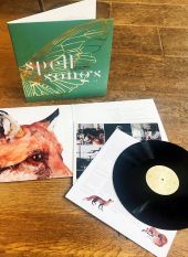 SPELL SONGS II: LET THE LIGHT IN DOUBLE LP